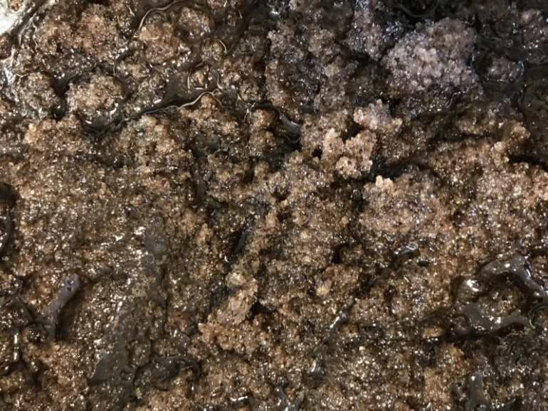 Body Scrub