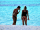 Swimsuit Brands Rated