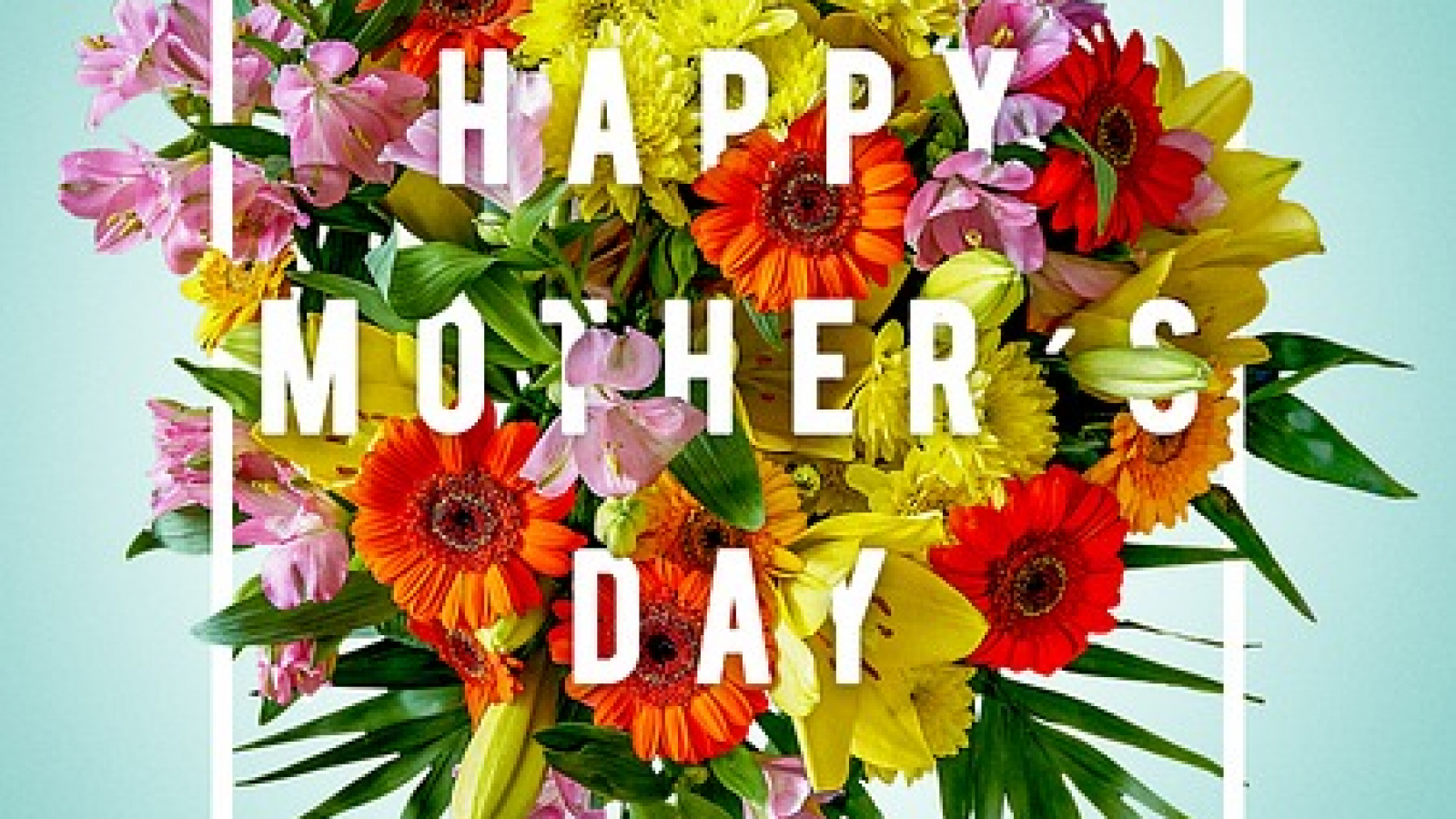Mother's Day Gift Ideas