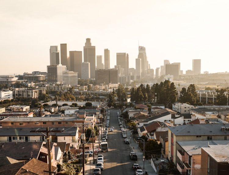 cars parked on roadside in front of houses at daytime Los Angeles