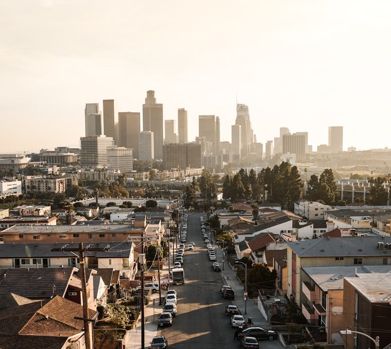 cars parked on roadside in front of houses at daytime Los Angeles