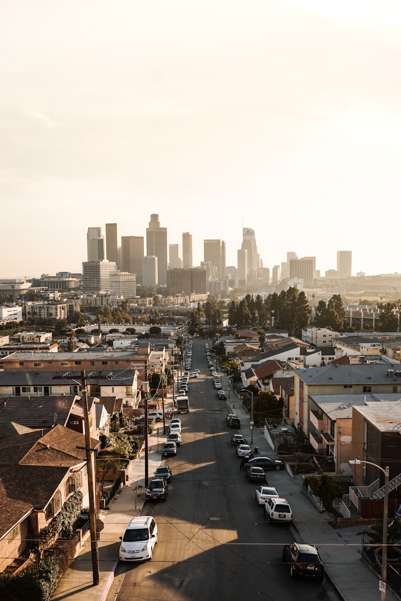 cars parked on roadside in front of houses at daytime Los Angeles