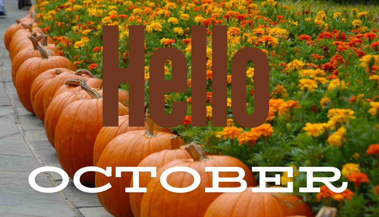 58 October Quotes That Make Us So Excited For Fall