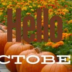 58 October Quotes That Make Us So Excited For Fall