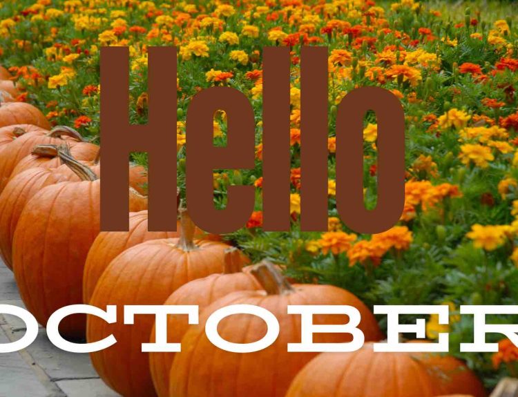 58 October Quotes That Make Us So Excited For Fall