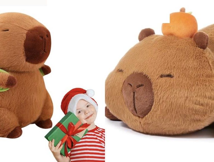 Turtle Capybara Plush