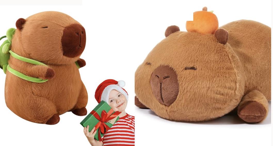 Turtle Capybara Plush