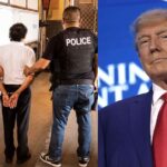 ICE Launches Nationwide Deportation Operation: Hundreds Arrested within Trump's First Days Back as President