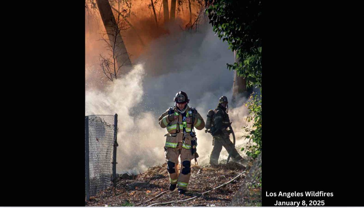 Los Angeles Wildfires