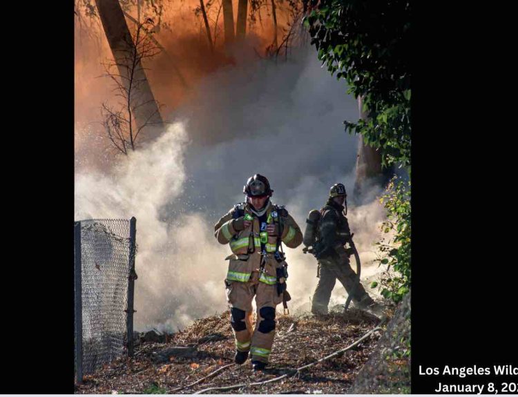 Los Angeles Wildfires