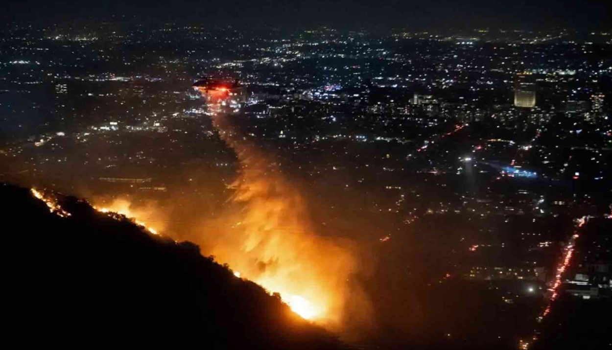 Sunset Fire WILD FIRE Los Angeles