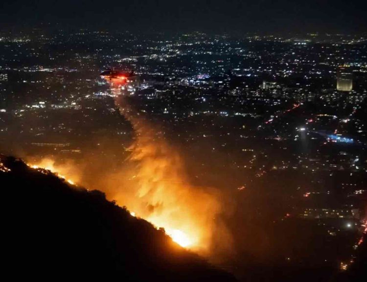 Sunset Fire WILD FIRE Los Angeles