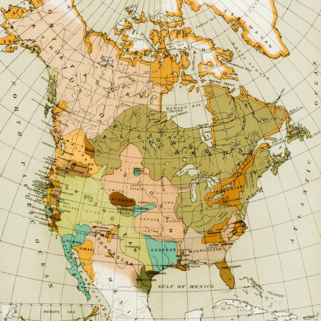 green and brown map illustration