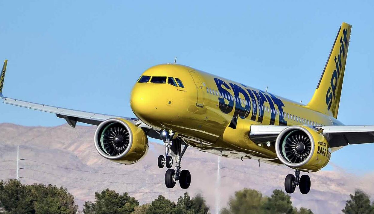 Cockroach-Covered Cabin Goes Viral: Is This Why Spirit Airlines Has Such a Bad Reputation?