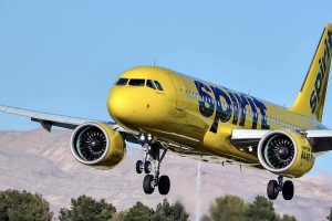 Cockroach-Covered Cabin Goes Viral: Is This Why Spirit Airlines Has Such a Bad Reputation?