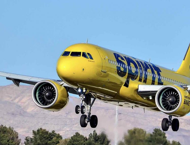 Cockroach-Covered Cabin Goes Viral: Is This Why Spirit Airlines Has Such a Bad Reputation?